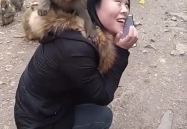 猴子和小姐姐,猴子与小姐姐的奇幻冒险之旅